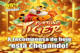 ok8 plataforma